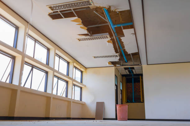 Best Flood restoration services  in Genoa, IL