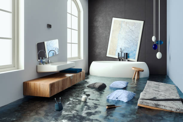 Best Mold removal after water damage  in Genoa, IL