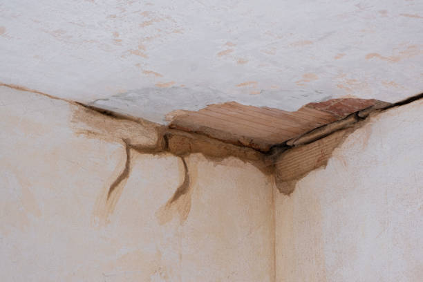 Best Water damage cleanup near me  in Genoa, IL