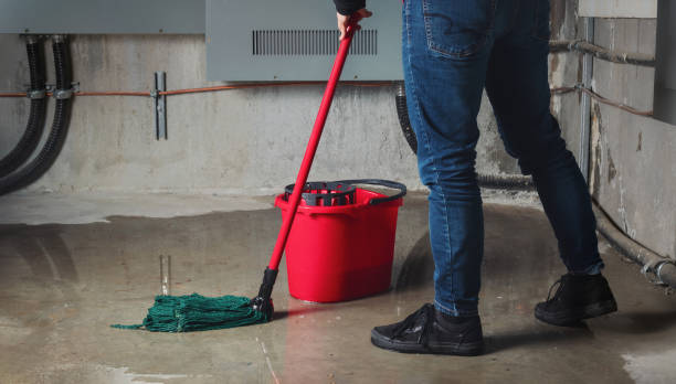 Best Flood damage cleanup  in Genoa, IL