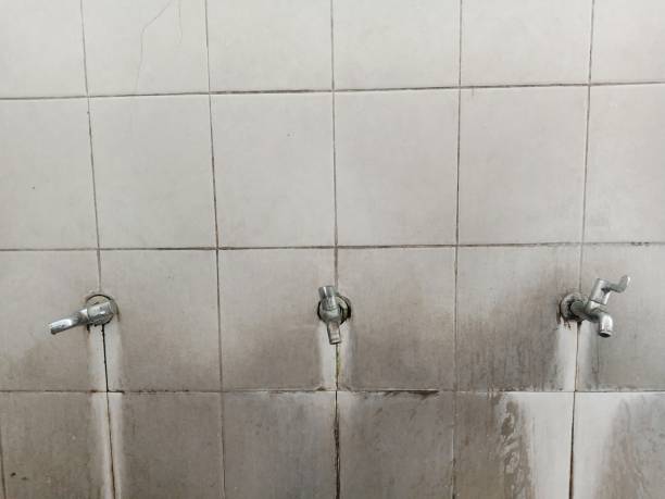 Best Basement water damage restoration  in Genoa, IL