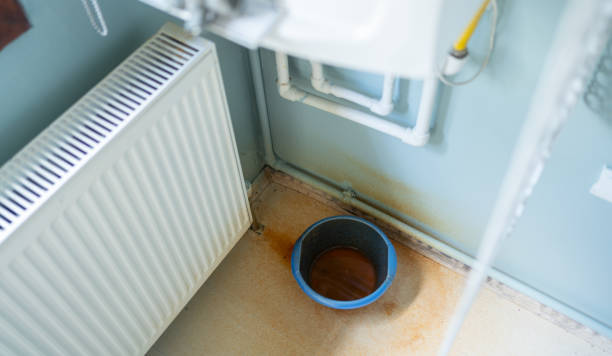 Best Fire Damage Restoration  in Genoa, IL